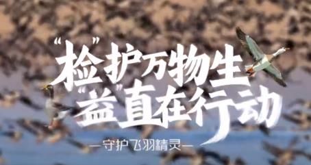“检”护万物生，“益”直在行动——守护飞羽精灵