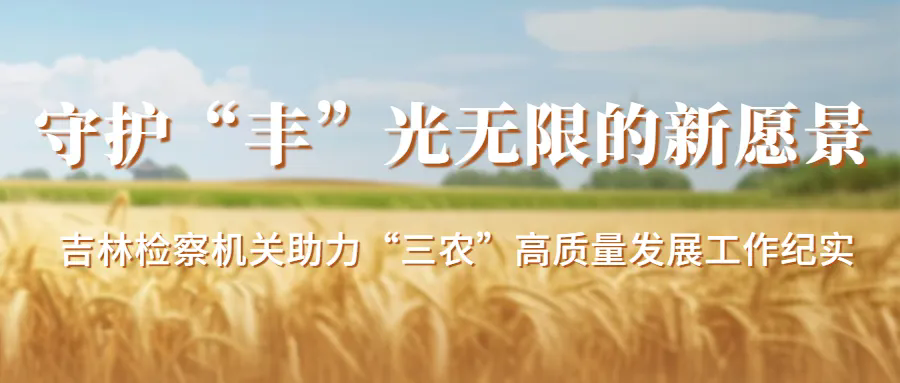 守护“丰”光无限的新愿景