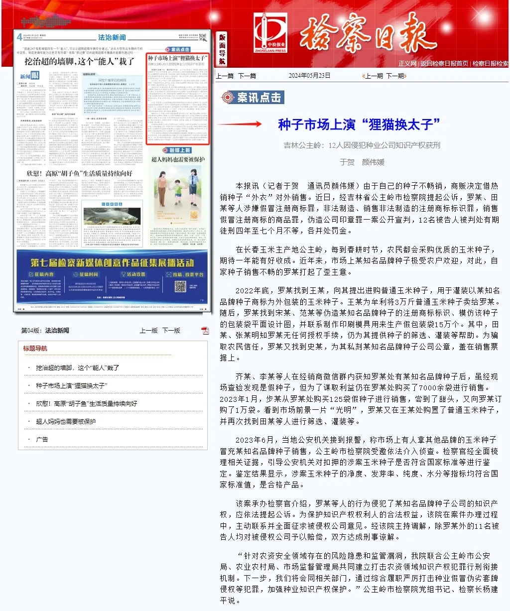 检察日报丨种子市场上演“狸猫换太子”.webp.jpg